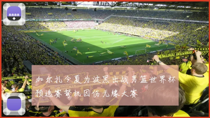 加尔扎今夏为波黑出战男篮世界杯预选赛弩机因伤无缘大赛